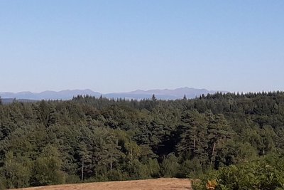 Point de vue sur le Sancy