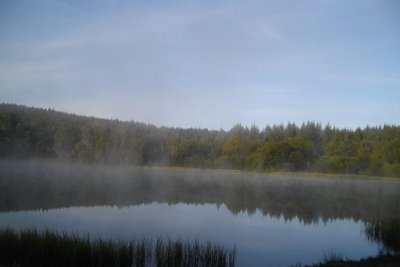 Etang de la Veyssie