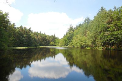 Etang de la Trompette