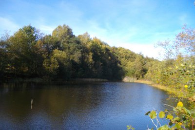 Etang de la Doulange