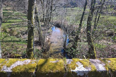 Le ruisseau d'Alembre