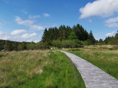 Tourbière de la Mazure