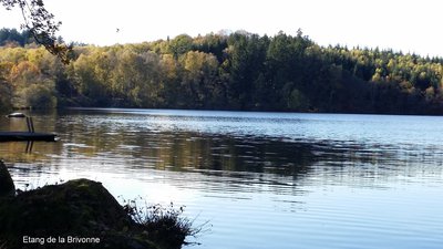 Flayat-Etang de la Brivonne