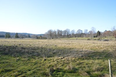 Flayat- Tourbière