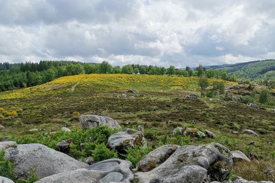 Paysage du Limousin