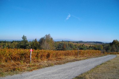 Vue sur le Sancy