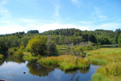 Etang de Servières