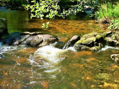 La Vienne à Rempnat