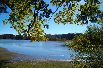 Etang de l'Abeille