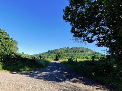 Vue sur le Mont Larron depuis la croix de Lachaud