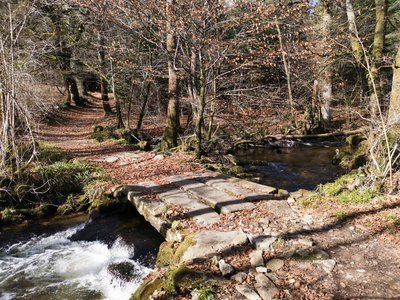 Pont de planche sur le ruisseau du Pic