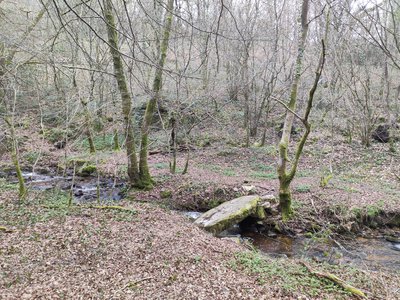 Pont planche