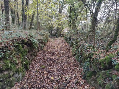 Chemin creux