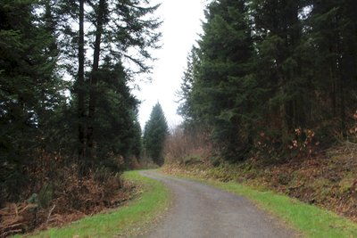 Forêt domaniale de Pompadour