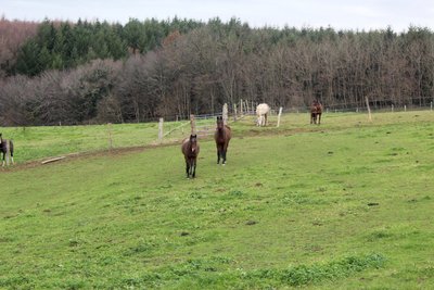 Domaine de la Rivière