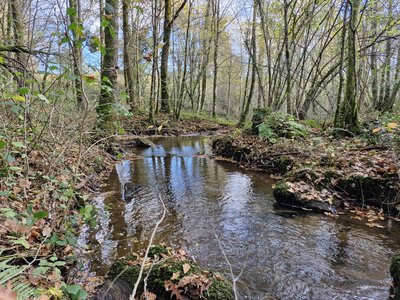 Ruisseau le Gavassou