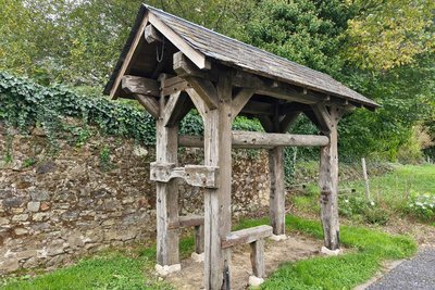 Travail à ferrer les bœufs
