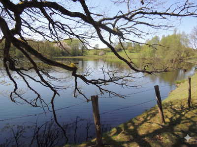 Etang de Ciboit