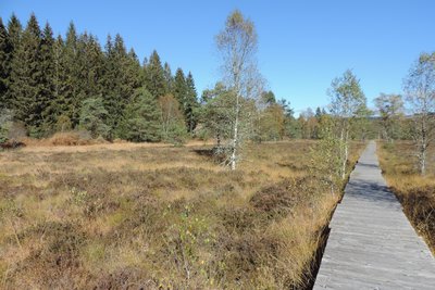 Passerelle de la tourbière de Négarioux - Malsagne