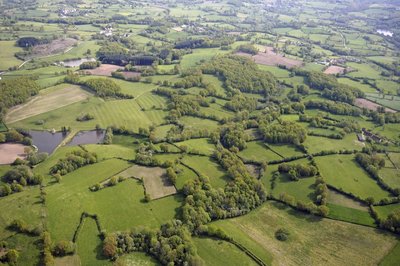 Bocage dans la Creuse