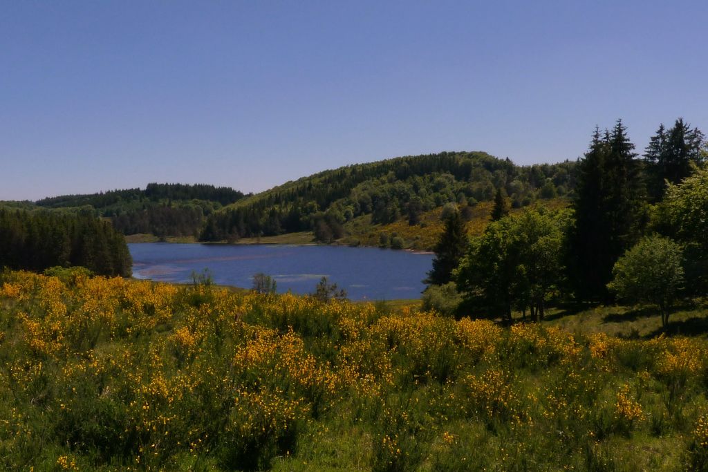 Etang des Oussines