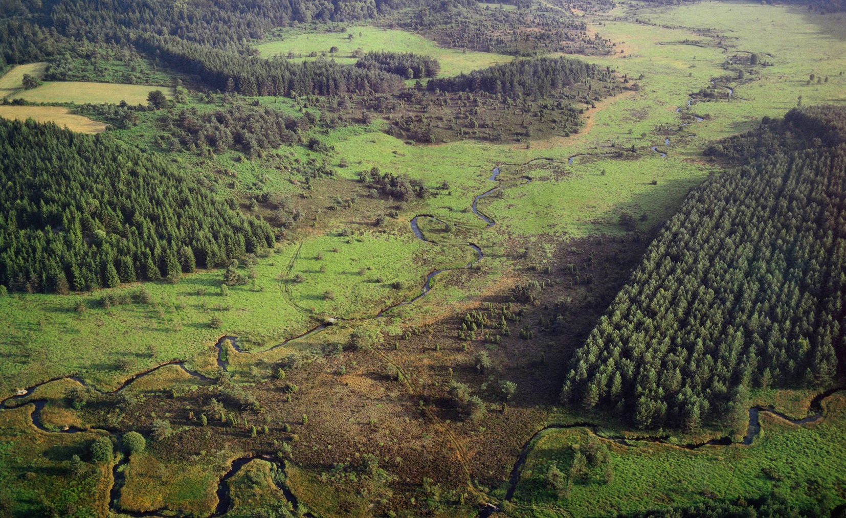 Vue aérienne de la tourbière de la Mazure