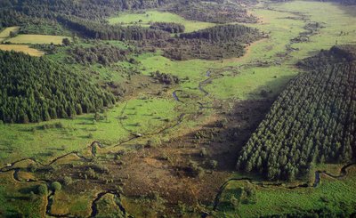 Vue aérienne de la tourbière de la Mazure