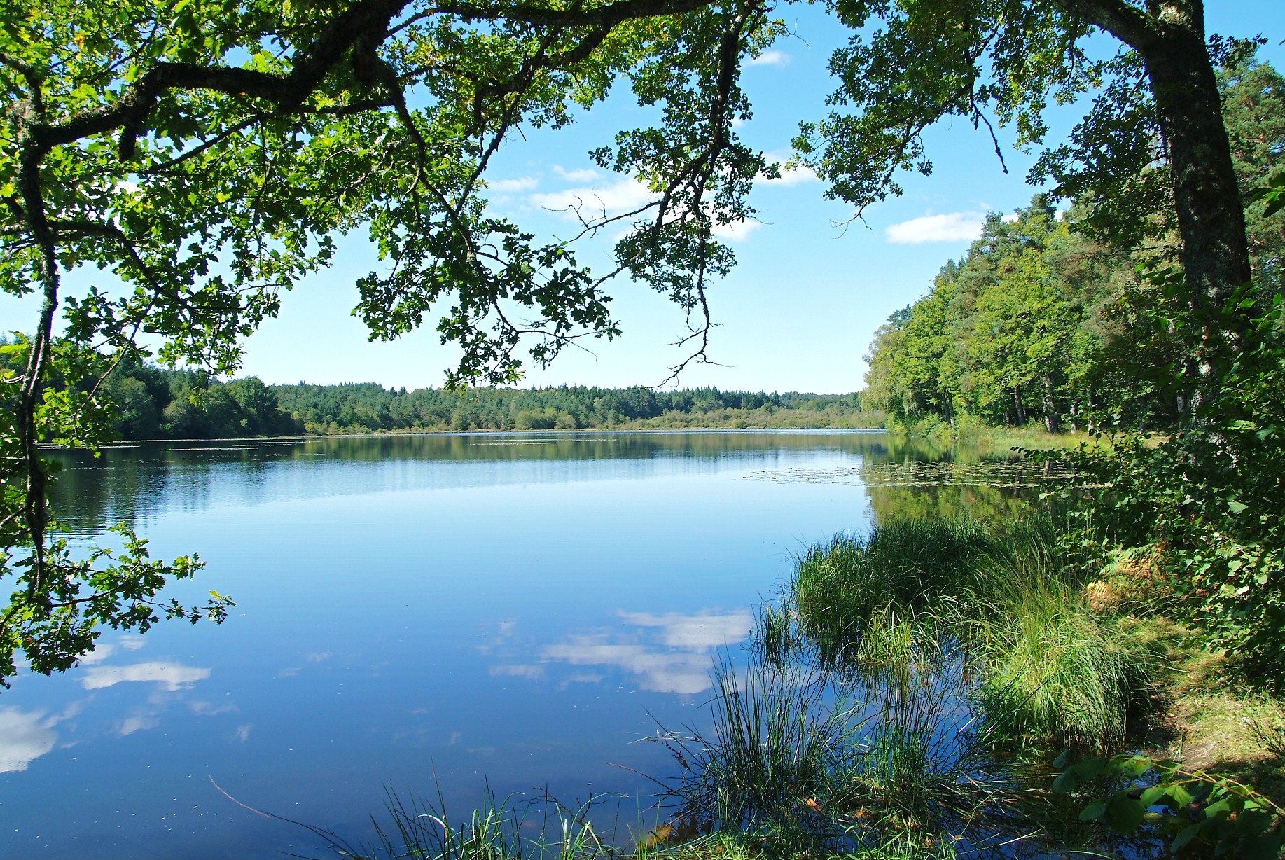 Etang de Gros