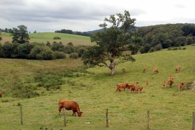 Sur le circuit des Vestiges Gallo-Romains des Mazières