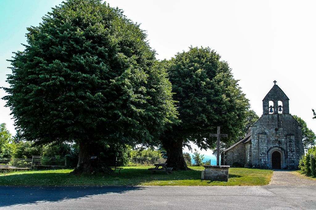 Eglise et arbres de Sully