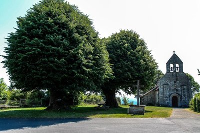 Eglise et arbres de Sully