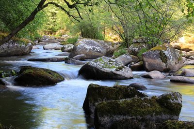 Vallée de la Diège