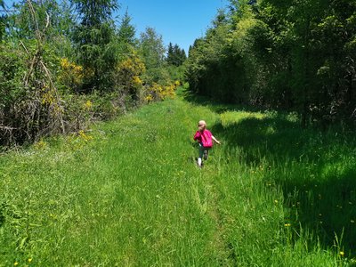 Immersion en pleine nature