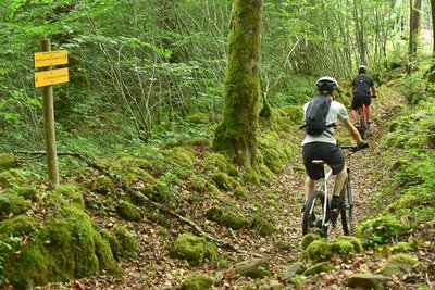 Forêt d'Epagne en VTT