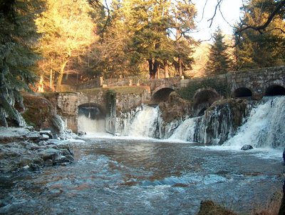 Les cascades de Bonlieu