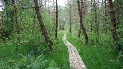 Sentier de Beauvais