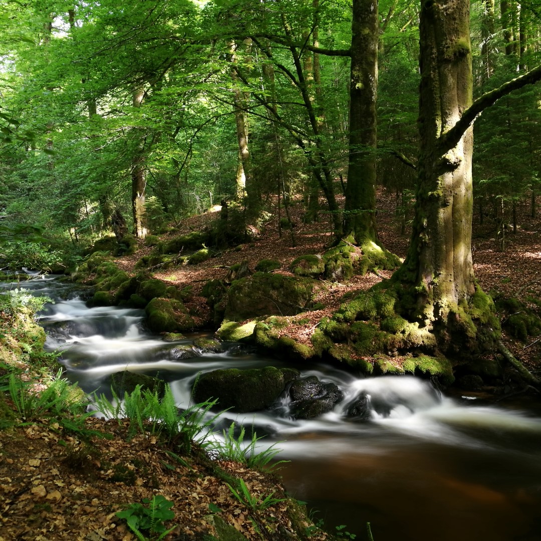 Les cascades d'Augerolles