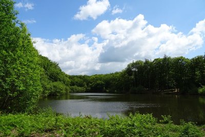 Etang des landes