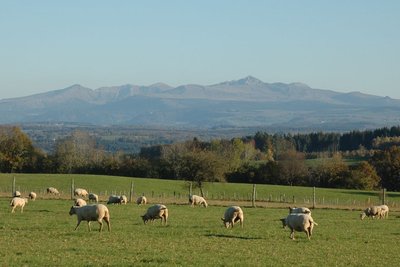 De Feyt à Monestier