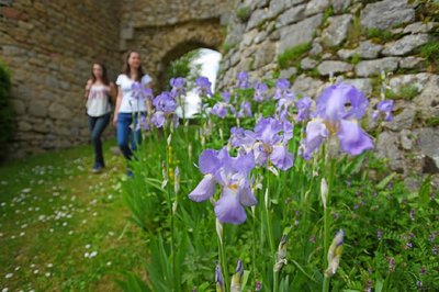 Crocq - Chemin des Tours