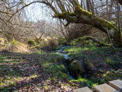 Source de la Creuse