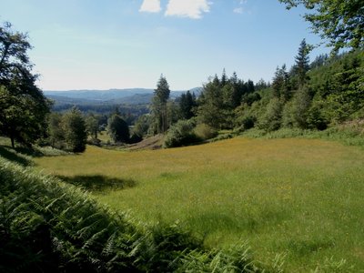 Point de vue sur le plateau de Millevaches