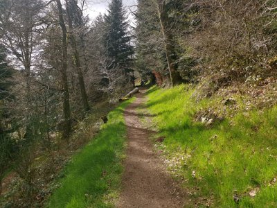 Sentier dans les gorges du Verger