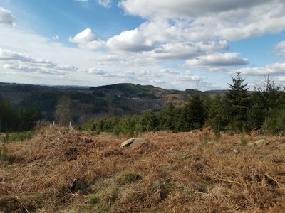 Paysage depuis le Puy la Chaise