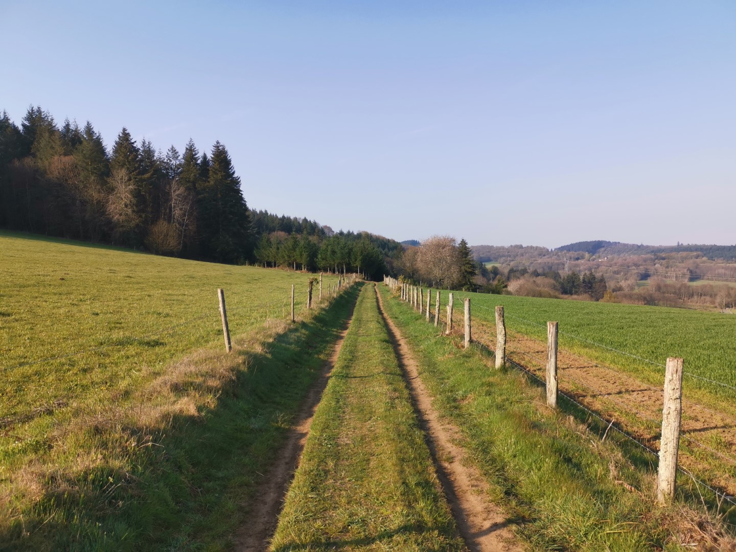 Sentier VTT