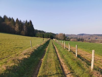 Sentier VTT