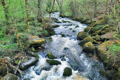 Gorges de la Rozeille