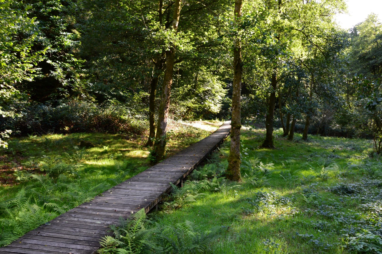 Les gorges du Verger