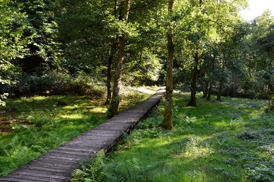 Les gorges du Verger