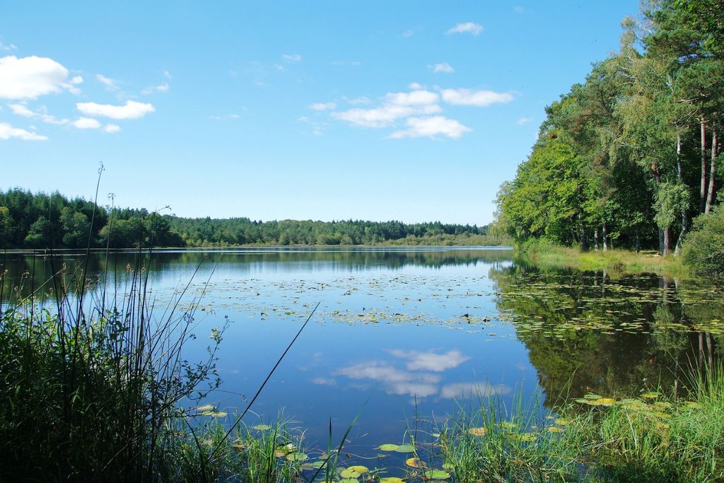 Etang de Gros